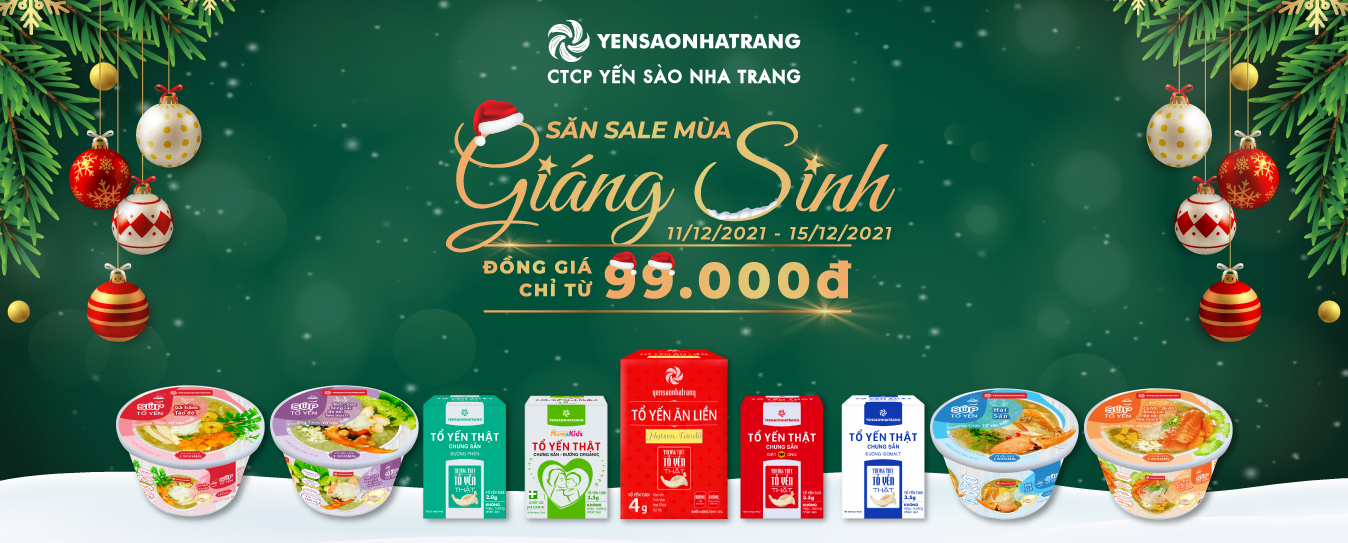 Banner-Giang-Sinh-Dong-Gia